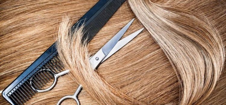 Ανακύκλωση Μαλλιών – Recycle Hair